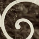 The Letter g_7 - Sepia Tone