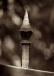 The Letter i_3 - Sepia Tone