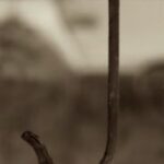 The Letter j_5 - Sepia Tone