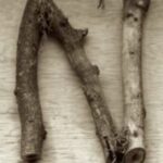 The Letter n_10 - Sepia Tone