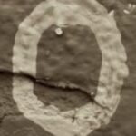 The Letter o_14 - Sepia Tone