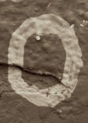 The Letter o_14 - Sepia Tone