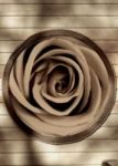 The Letter o_17 - Sepia Tone