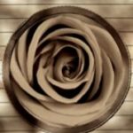 The Letter o_17 - Sepia Tone