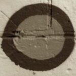 The Letter o_2 - Sepia Tone