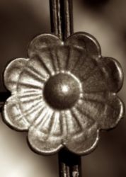 The Letter o_6 - Sepia Tone