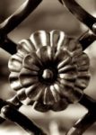 The Letter o_9 - Sepia Tone