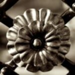 The Letter o_9 - Sepia Tone