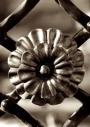 The Letter o_9 - Sepia Tone