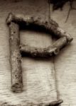 The Letter p_8 - Sepia Tone