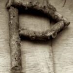 The Letter p_8 - Sepia Tone