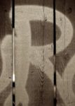 The Letter r_11 - Sepia Tone