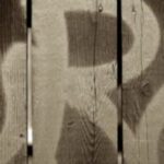 The Letter r_11 - Sepia Tone