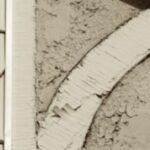 The Letter r_5 - Sepia Tone