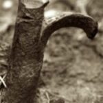 The Letter r_9 - Sepia Tone
