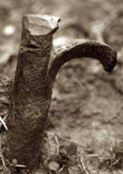 The Letter r_9 - Sepia Tone