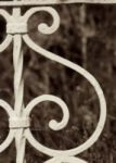 The Letter s_8 - Sepia Tone