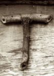 The Letter t_12 - Sepia Tone
