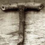 The Letter t_12 - Sepia Tone