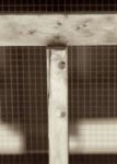 The Letter t_13 - Sepia Tone