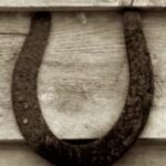 The Letter u_8 - Sepia Tone