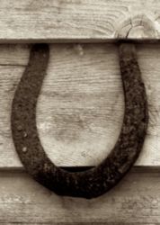 The Letter u_8 - Sepia Tone