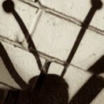 The Letter v_2 - Sepia Tone