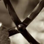 The Letter y_1 - Sepia Tone