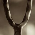 The Letter y_2 - Sepia Tone