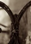 The Letter y_7 - Sepia Tone