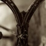 The Letter y_7 - Sepia Tone