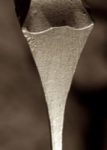 The Letter y_8 - Sepia Tone
