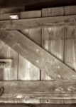 The Letter z_9 - Sepia Tone