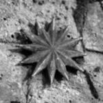 The Letter  star London Black & White