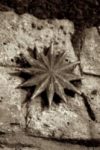 The Letter star - London - Sepia Tone