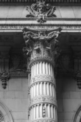 The Letter t_4 - NYC - Black & White