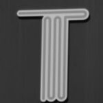 The Letter t_7 - NYC - Black & White