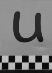 The Letter u_1 - NYC - Black & White