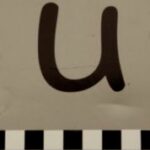 The Letter u_1 - NYC - Sepia Tone