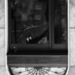 The Letter u_2 - London - Black & White