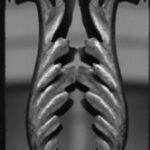 The Letter u_7 - NYC - Black & White