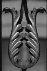 The Letter u_7 - NYC - Black & White