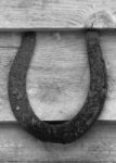 The Letter u_8 - Toronto - Black & White