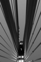 The Letter v_10 - London - Black & White