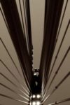 The Letter v_10 - London - Sepia Tone