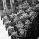 The Letter v_1 - NYC - Black & White
