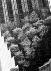 The Letter v_1 - NYC - Black & White