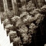 The Letter v_1 - NYC - Sepia Tone