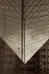 The Letter v_5 - PARIS - Sepia Tone