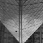 The Letter v_5 - PARIS - Black & White